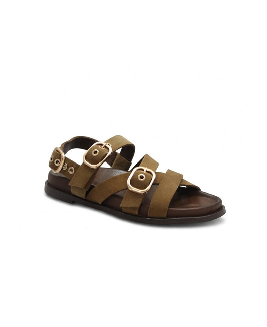 gid://shopify/Product/15738669498700_1