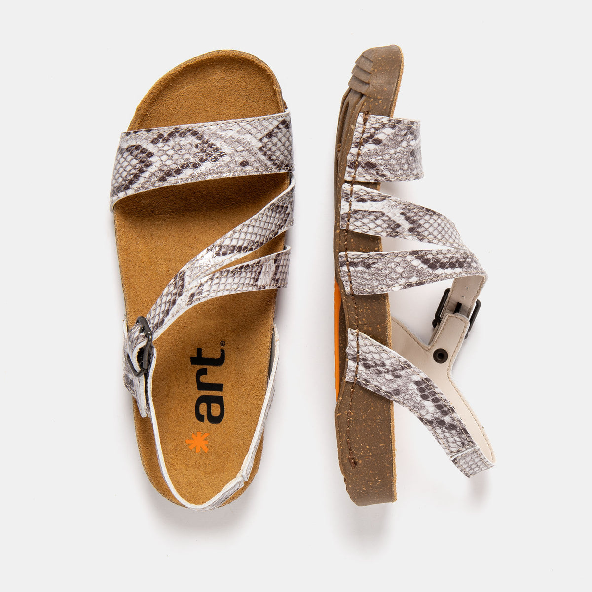 gid://shopify/Product/16172860473676_4