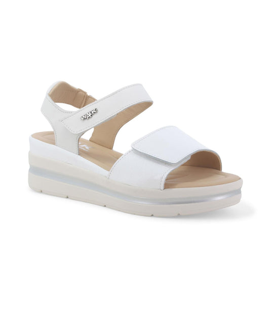 gid://shopify/Product/15937550778700_2
