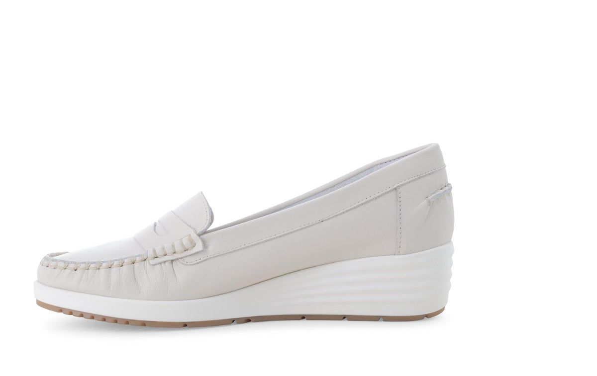 gid://shopify/Product/15761190060364_4