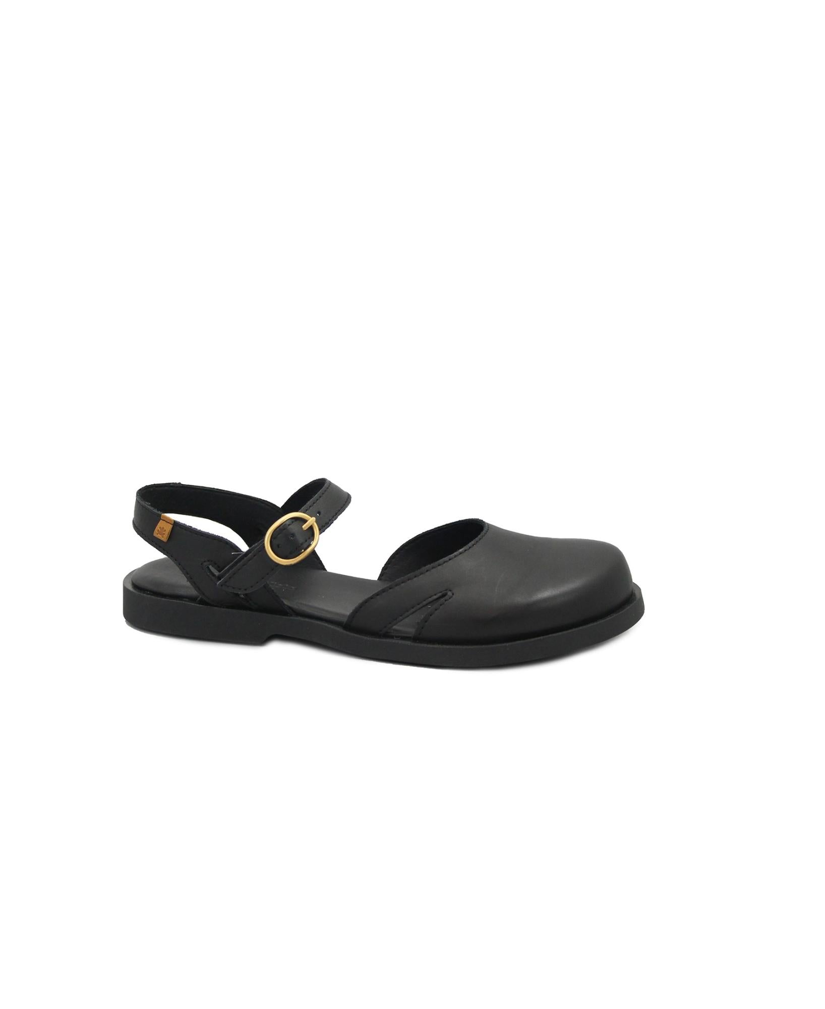 gid://shopify/Product/15738490847564_1