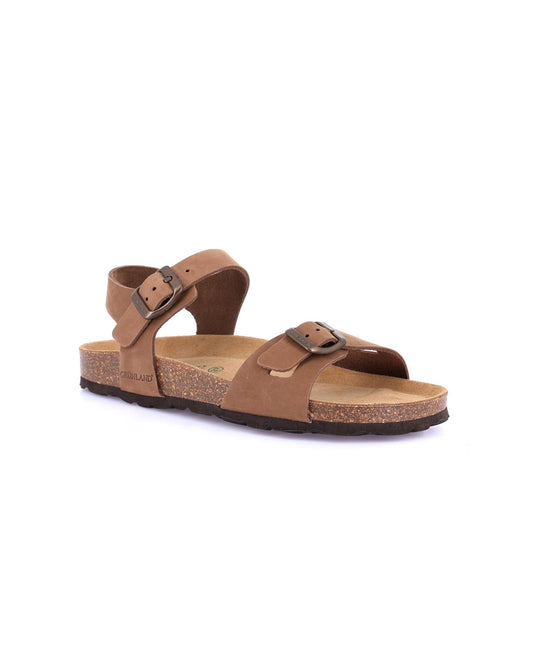 gid://shopify/Product/15738159694156_1