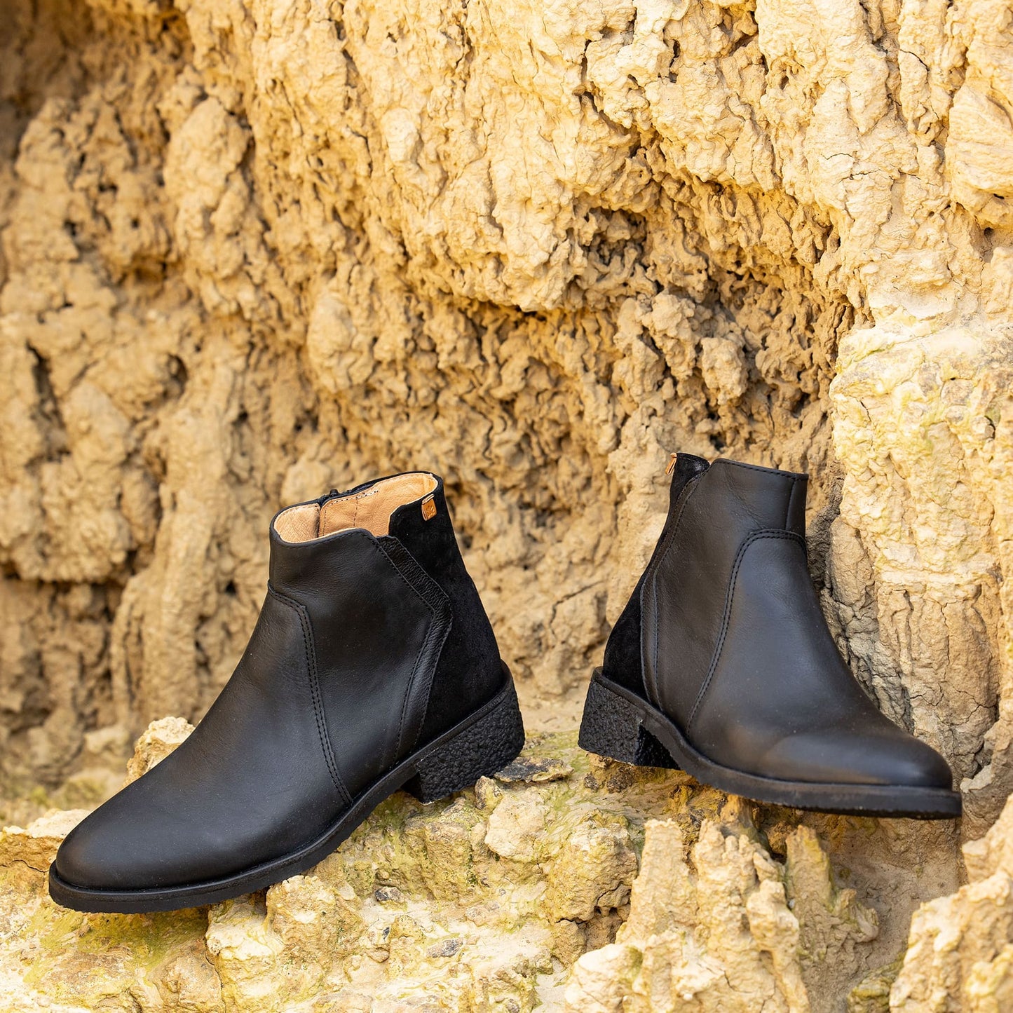 gid://shopify/Product/15700150518092_7
