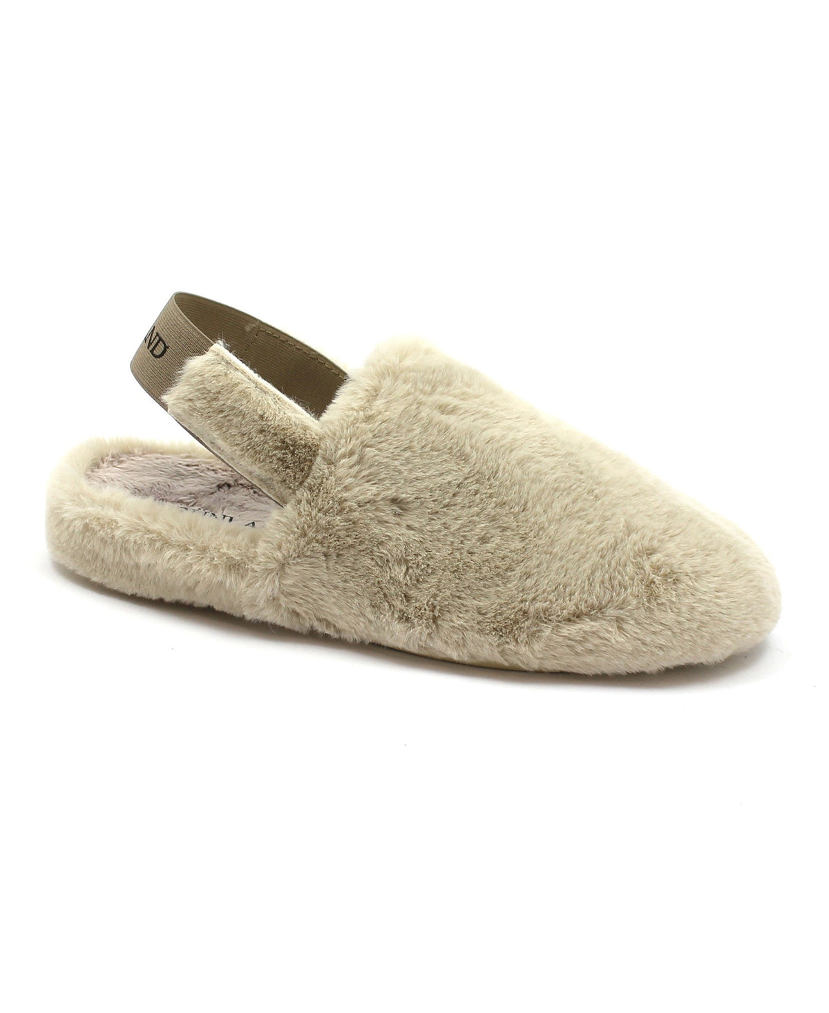 gid://shopify/Product/15739816116556_1