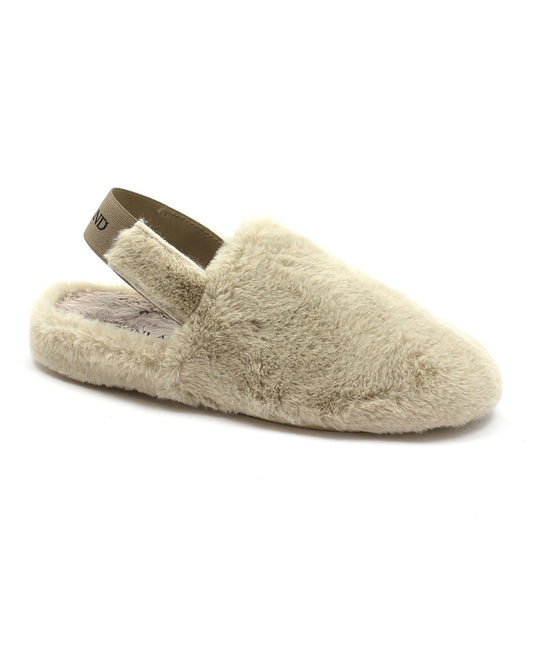 gid://shopify/Product/15739816116556_1