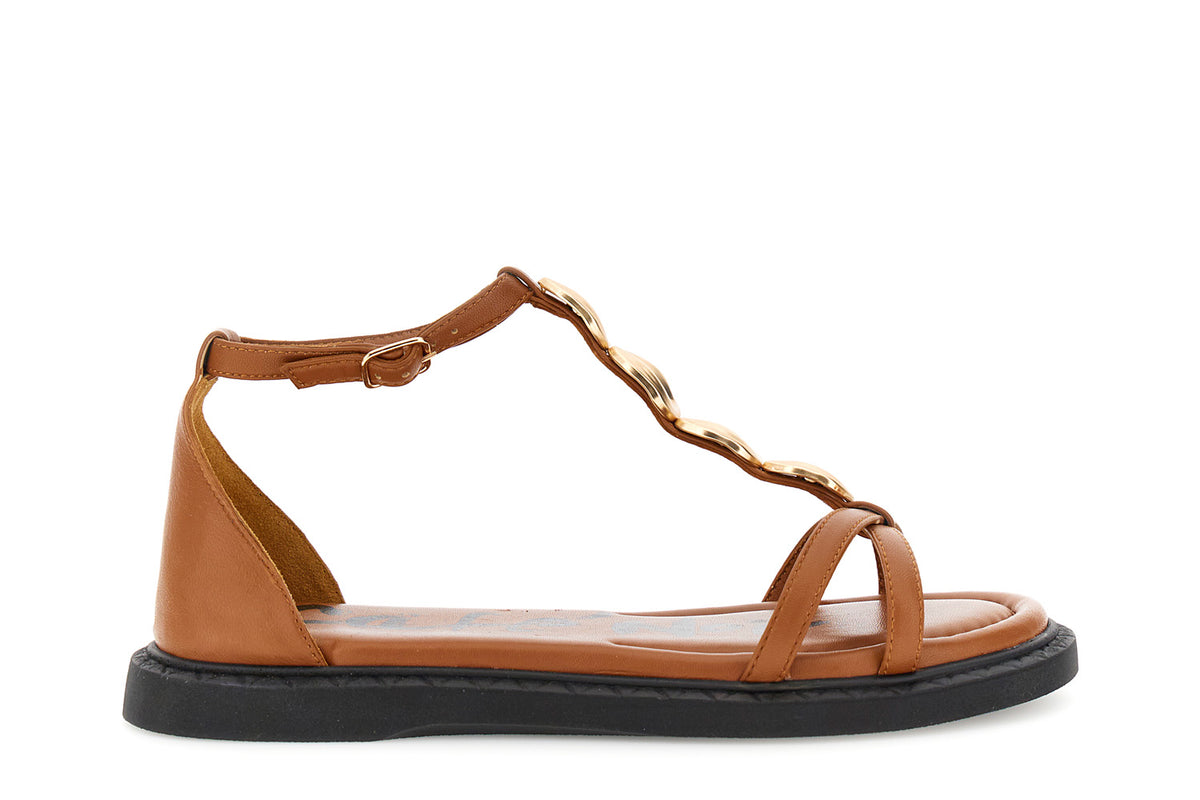 gid://shopify/Product/16122316423500_58876165259596