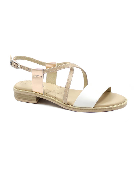 gid://shopify/Product/15740110405964_1