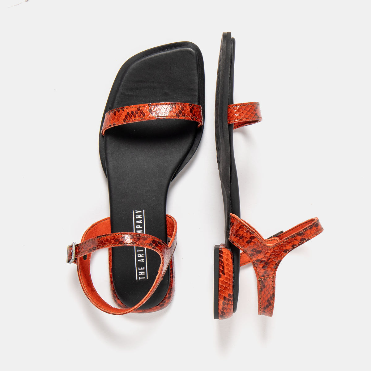 gid://shopify/Product/16173038174540_4