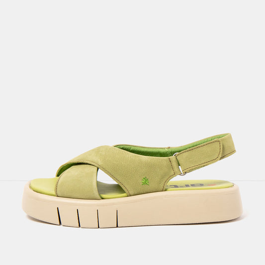 gid://shopify/Product/16172971524428_1