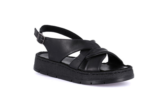 gid://shopify/Product/15755037016396_57521300668748