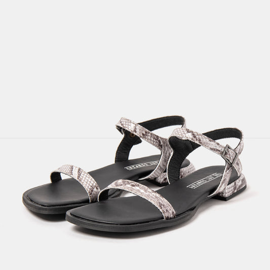 gid://shopify/Product/16173037060428_2