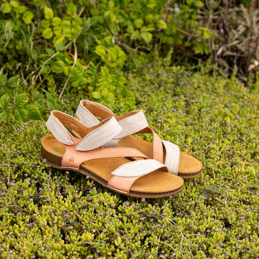 gid://shopify/Product/15700518601036_7