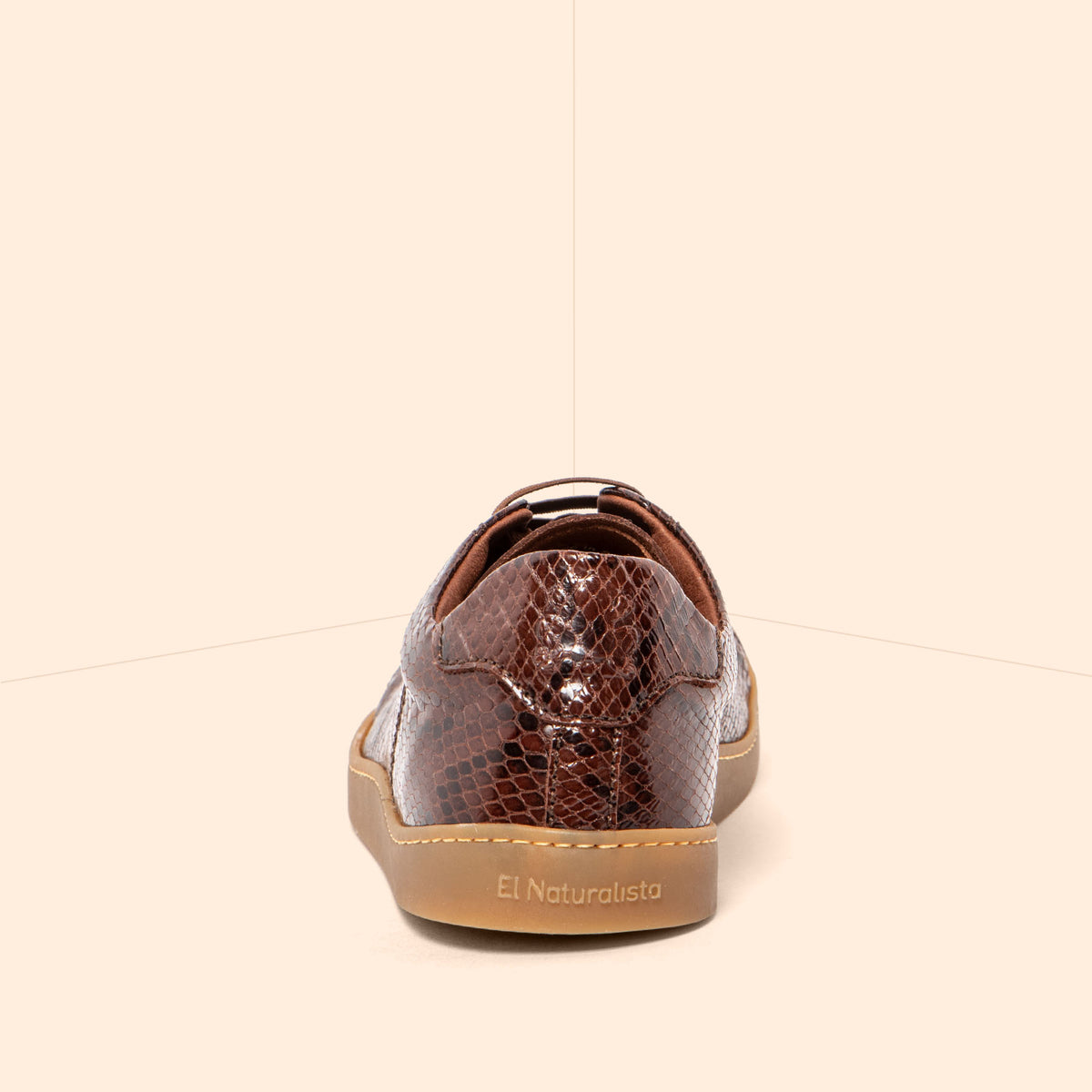 gid://shopify/Product/16124795715916_5