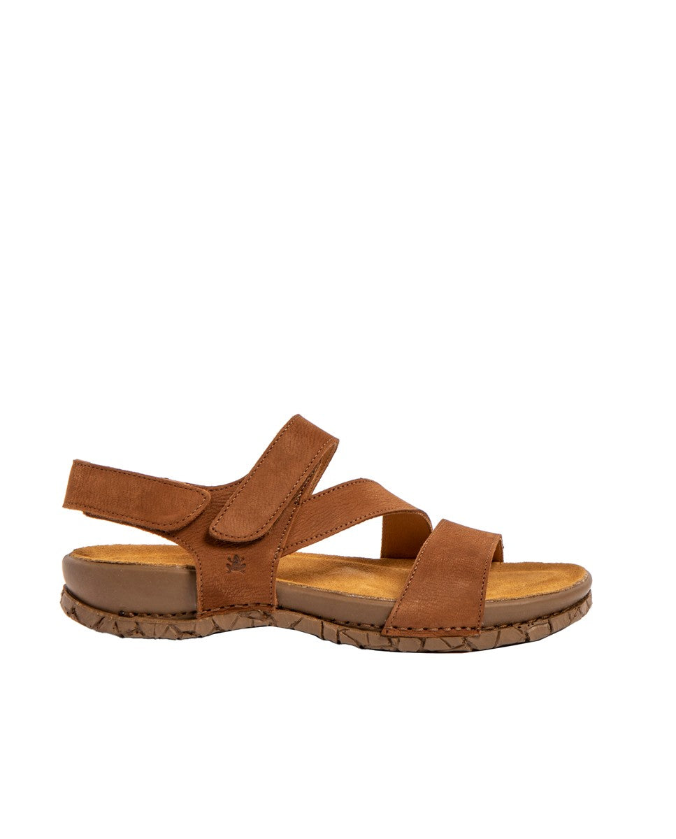 gid://shopify/Product/15700128956748_1