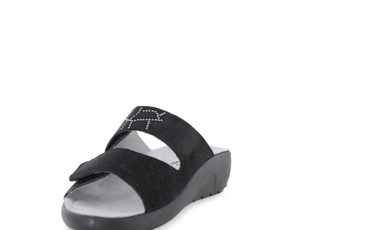 gid://shopify/Product/15761226072396_3