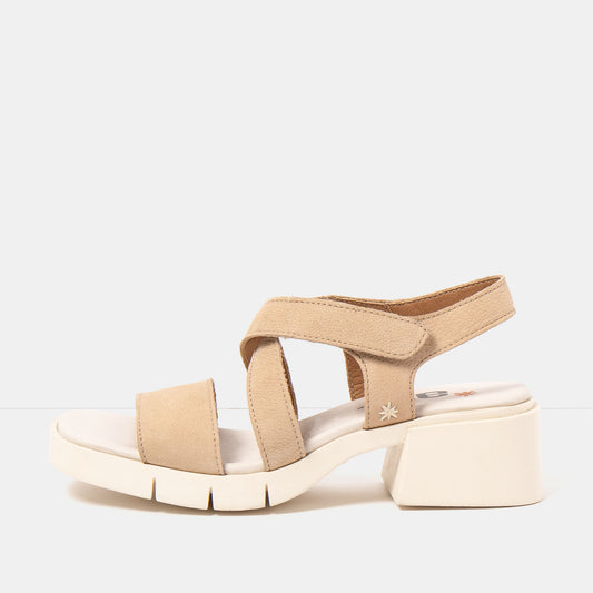 gid://shopify/Product/16173094175052_1