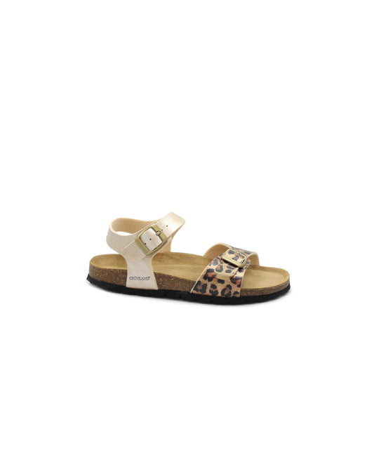 gid://shopify/Product/15738571620684_1