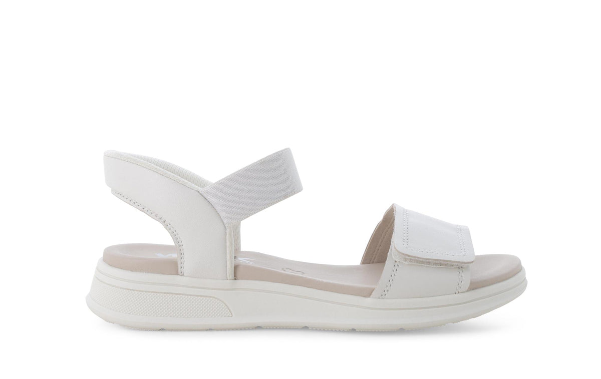 gid://shopify/Product/15761223319884_1