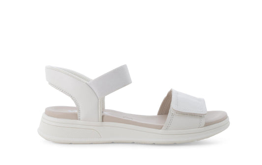 gid://shopify/Product/15761223319884_1
