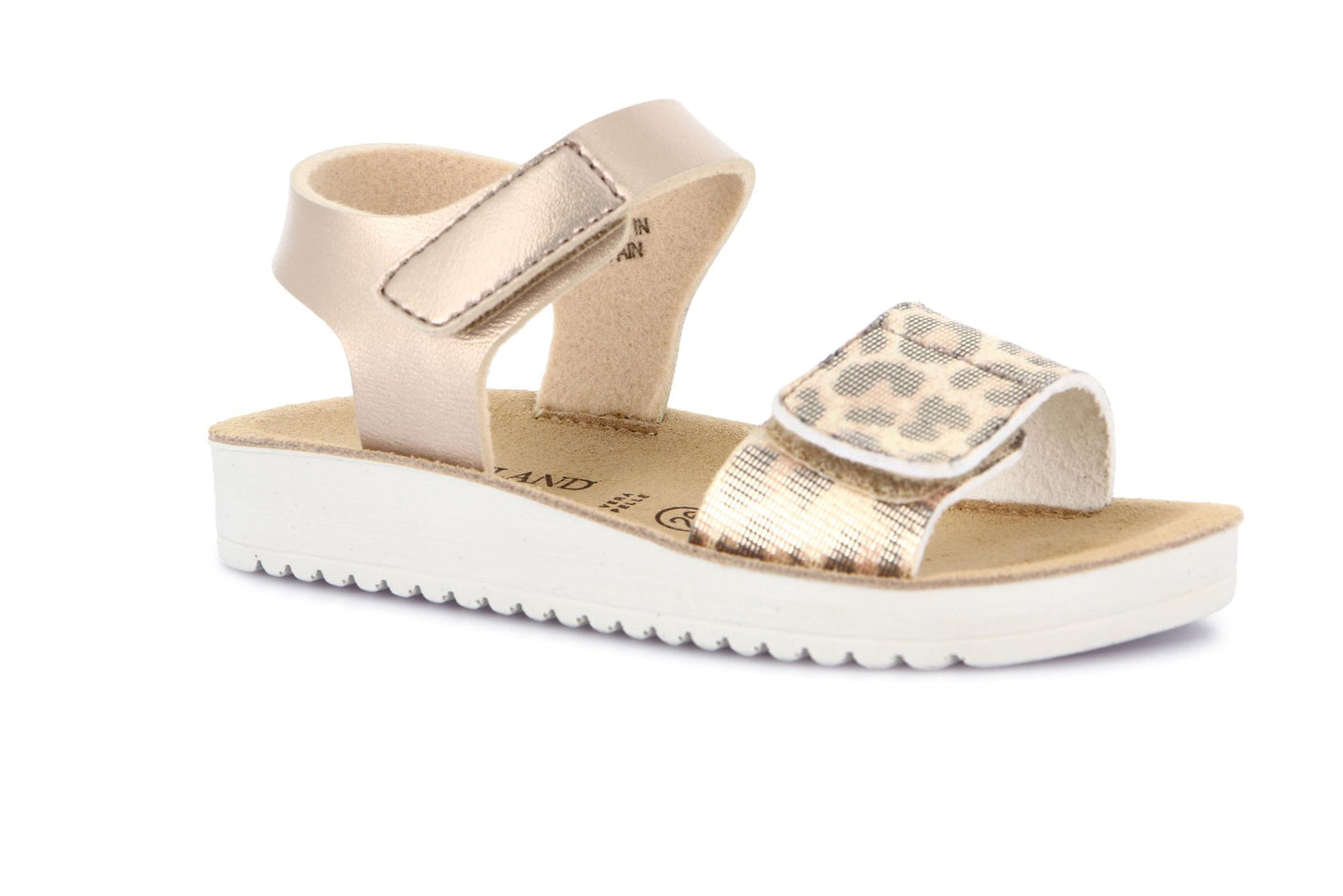 gid://shopify/Product/15798272950604_1