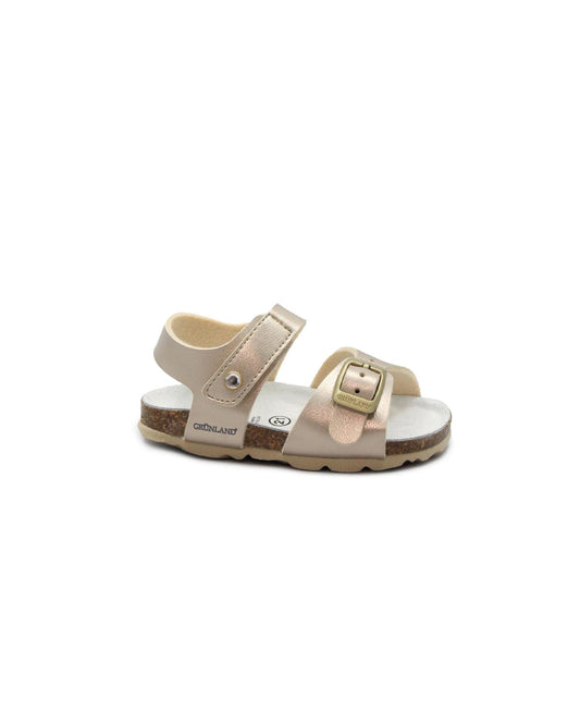 gid://shopify/Product/15738562838860_1