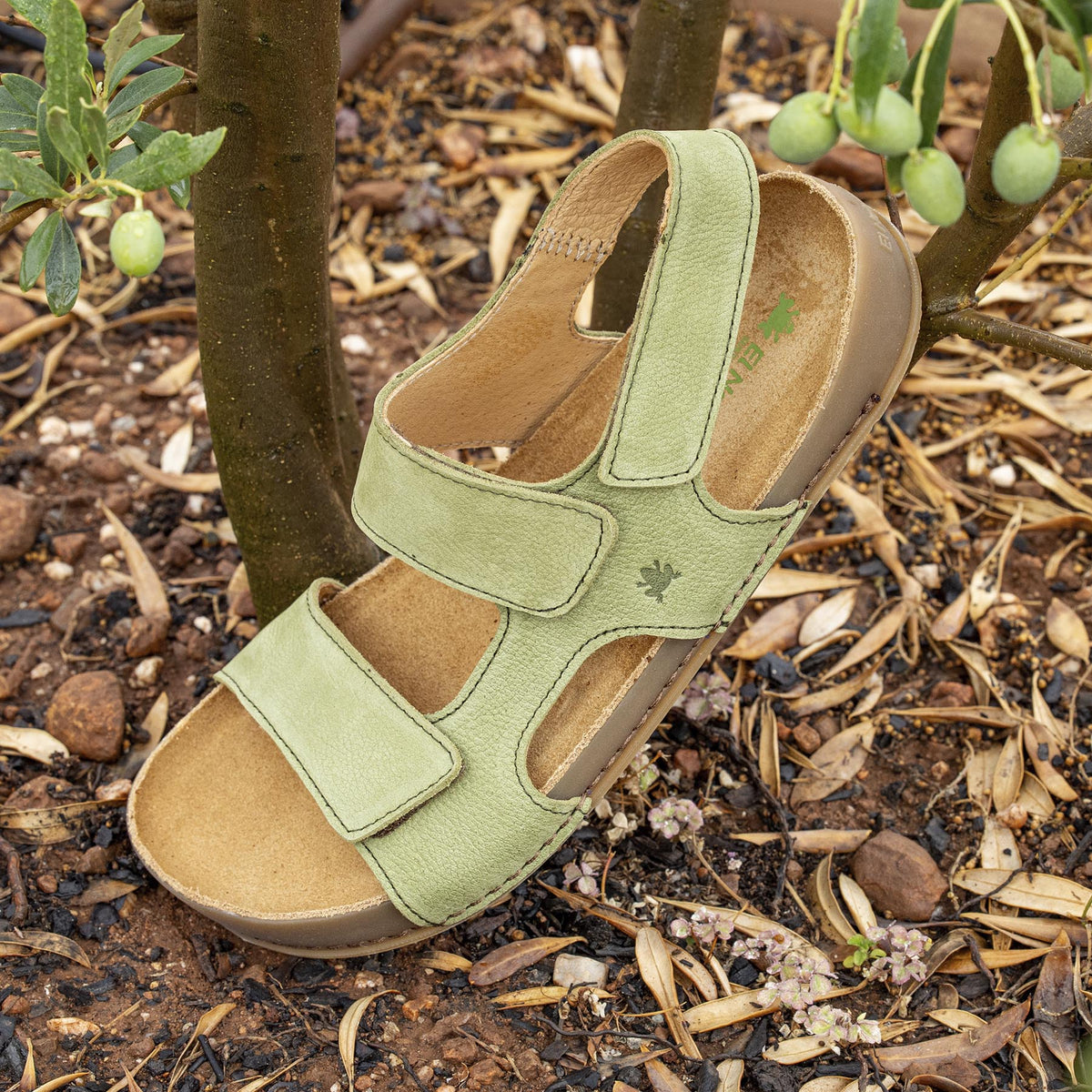 gid://shopify/Product/16124877406540_7