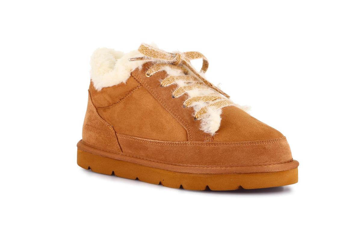 gid://shopify/Product/16145757241676_1