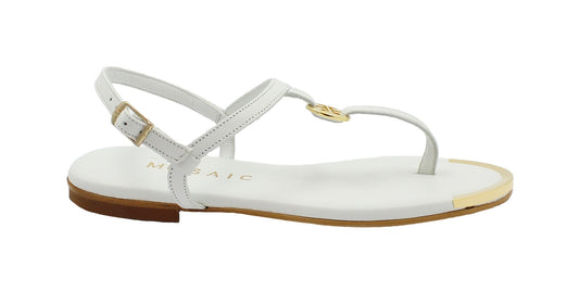 gid://shopify/Product/15739684716876_1