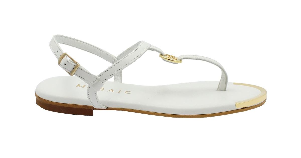 gid://shopify/Product/15739684716876_1