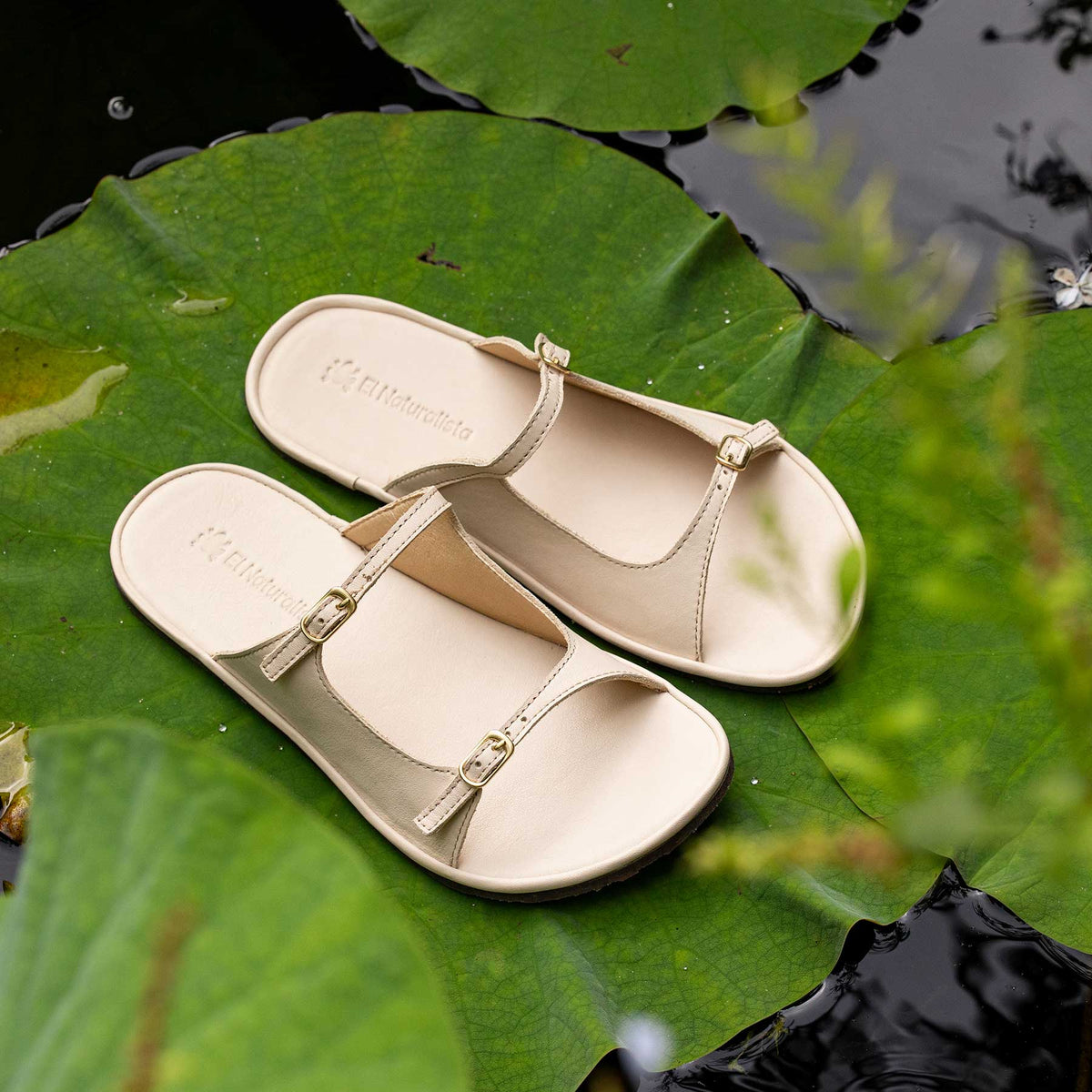 gid://shopify/Product/16124719661388_7
