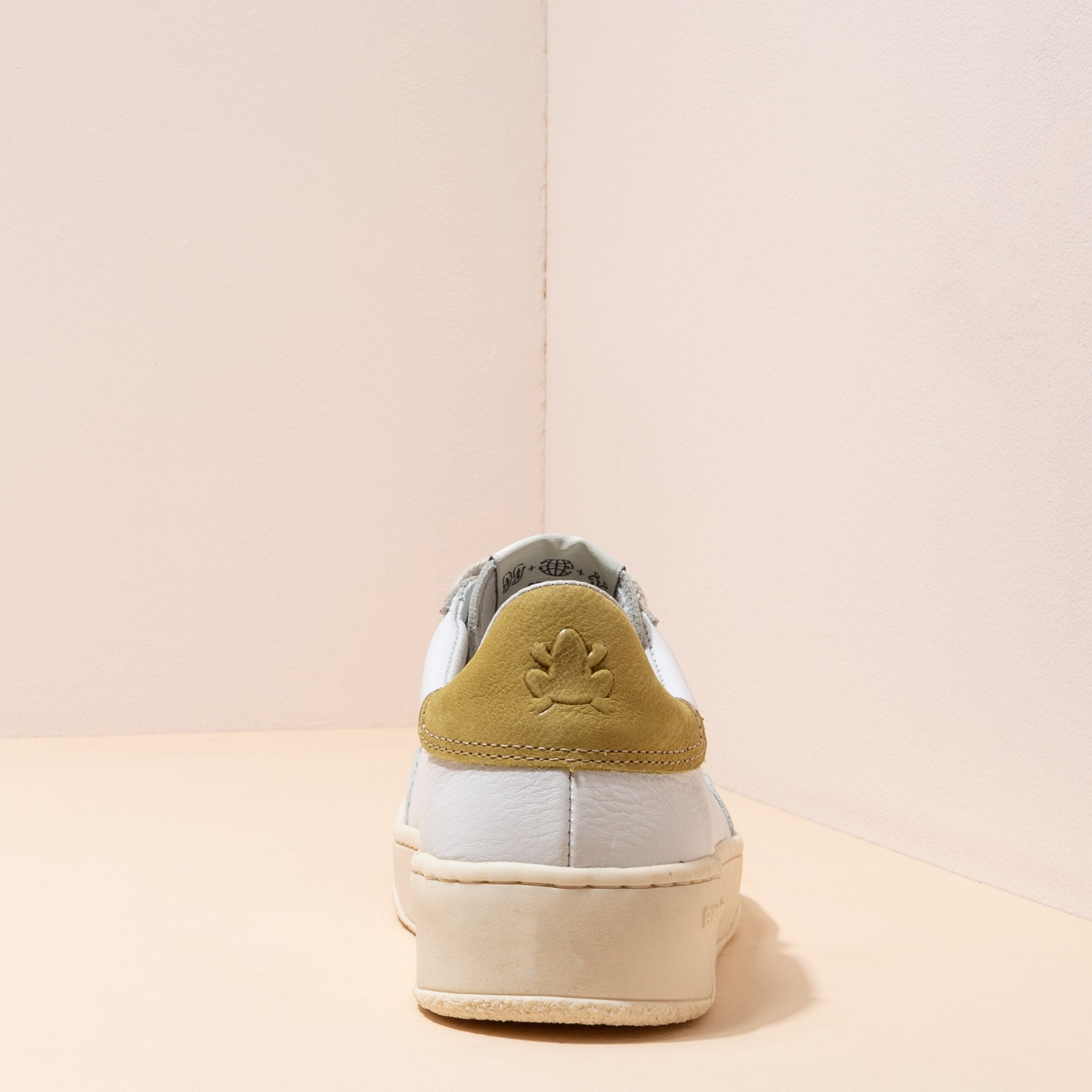gid://shopify/Product/15700096155980_5