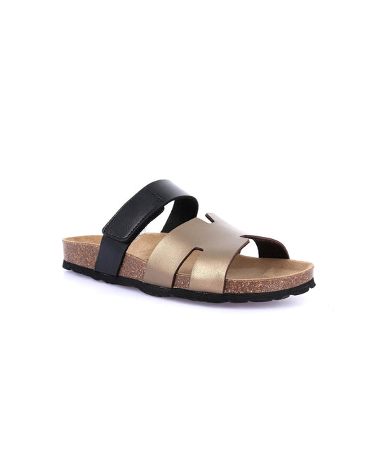 gid://shopify/Product/15859443794252_1