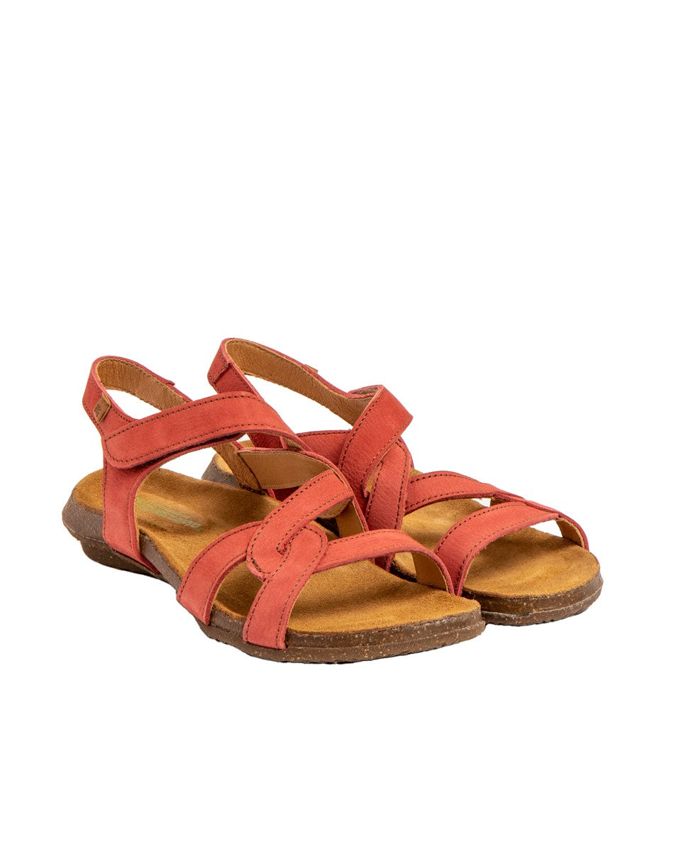 gid://shopify/Product/15699886899532_2
