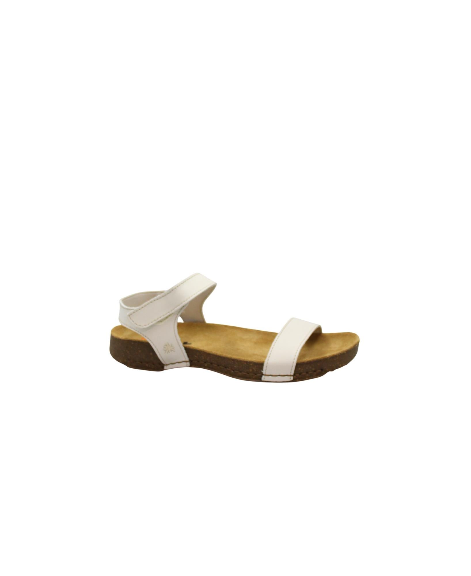 gid://shopify/Product/15966278058316_1