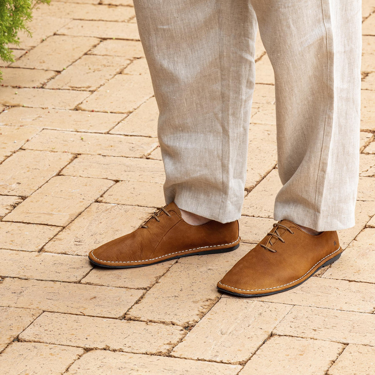 gid://shopify/Product/16124860989772_1