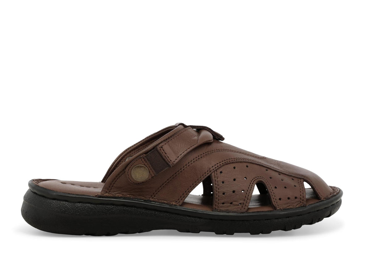 gid://shopify/Product/15761232134476_1