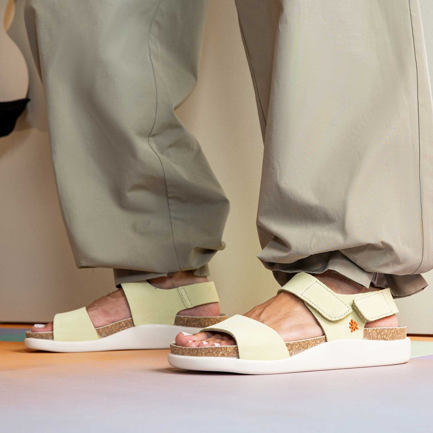 gid://shopify/Product/15785710158156_6