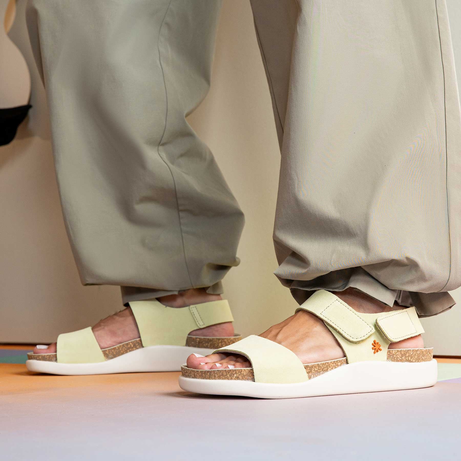 gid://shopify/Product/15785710158156_6