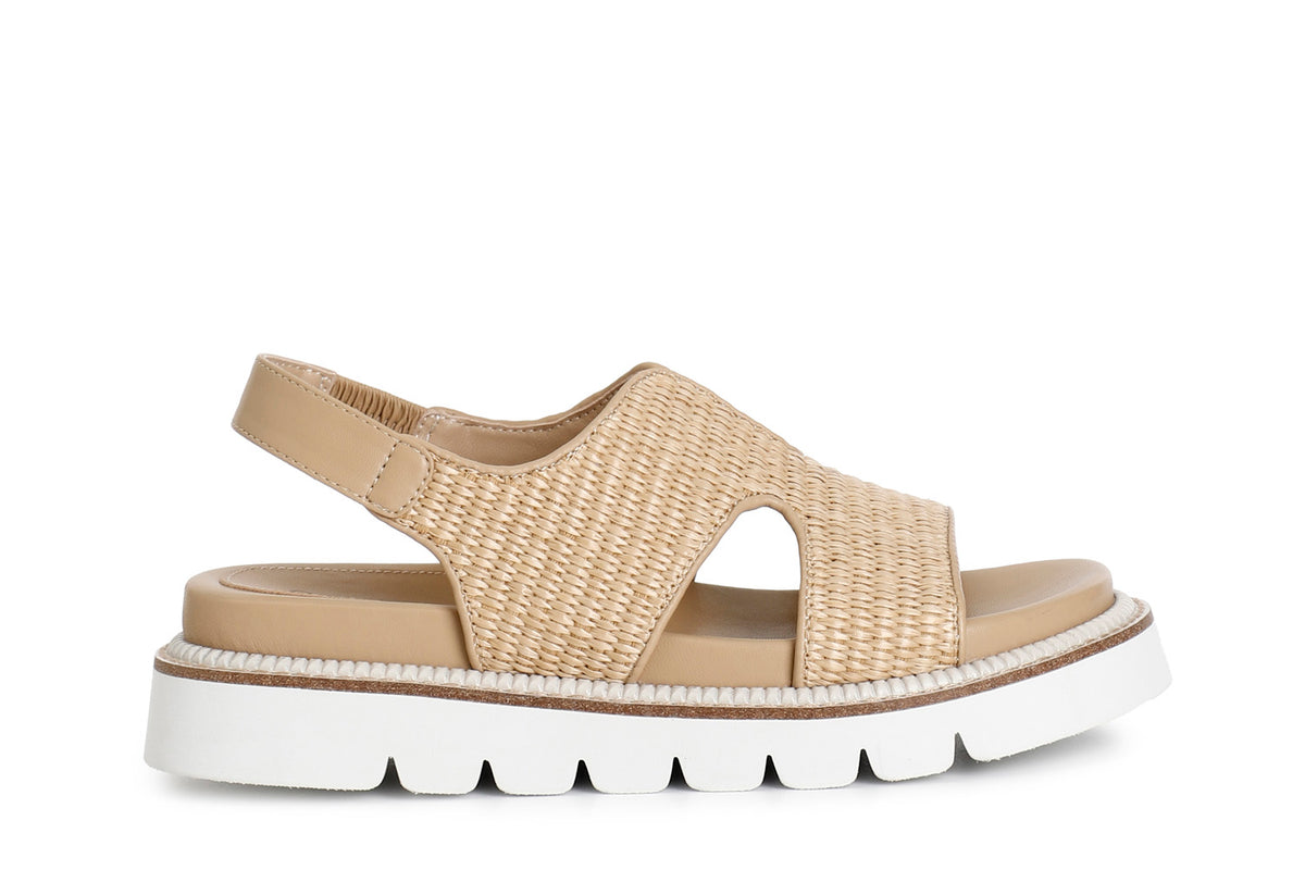 gid://shopify/Product/16175589523788_59119783641420