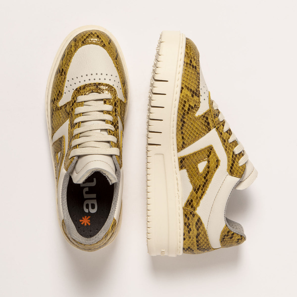 gid://shopify/Product/16172058280268_4