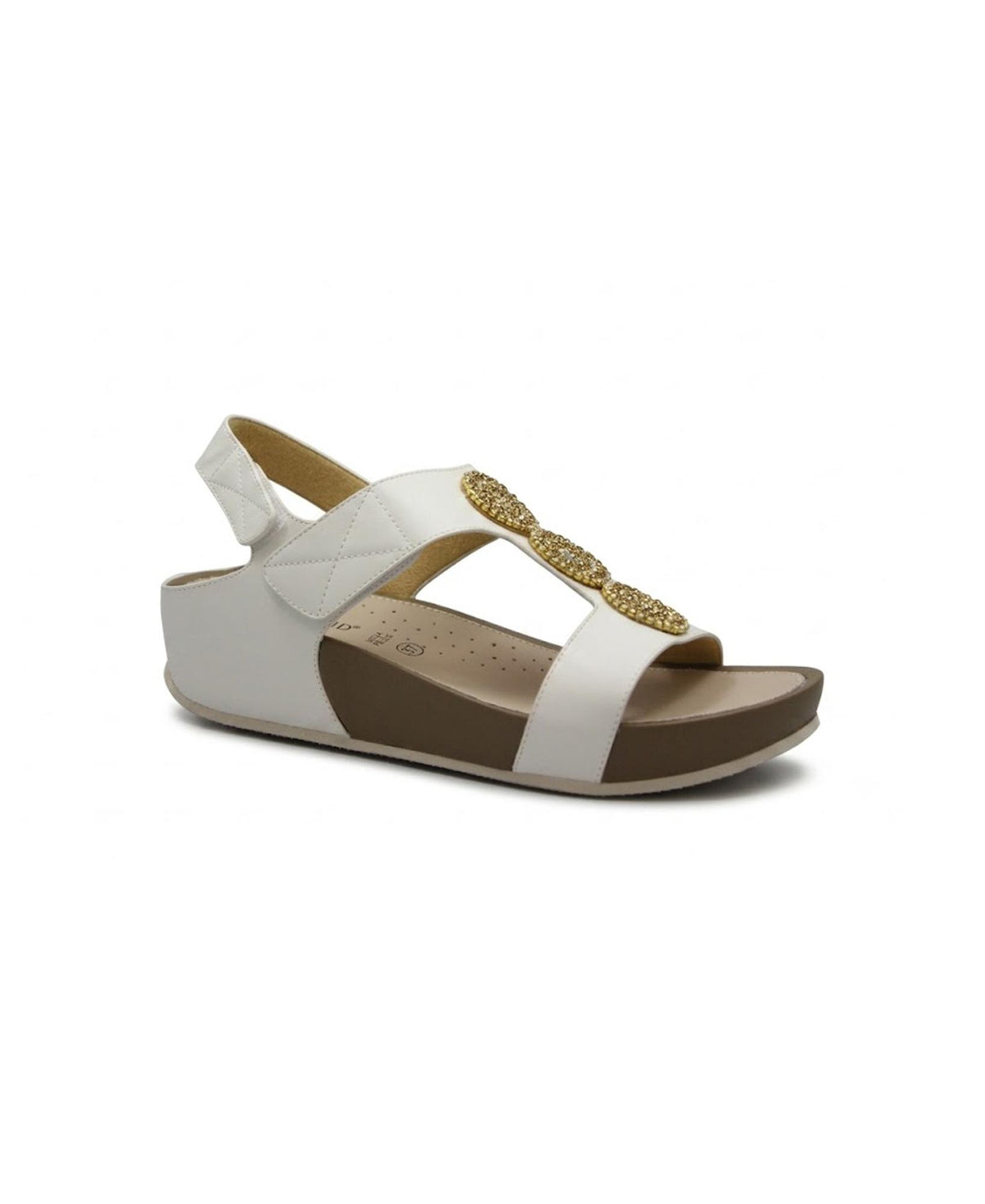 gid://shopify/Product/15809508639052_1
