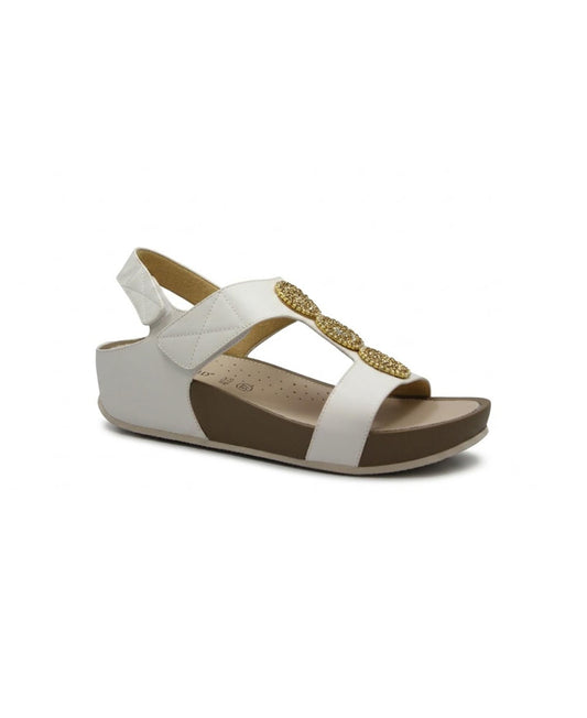 gid://shopify/Product/15809508639052_1