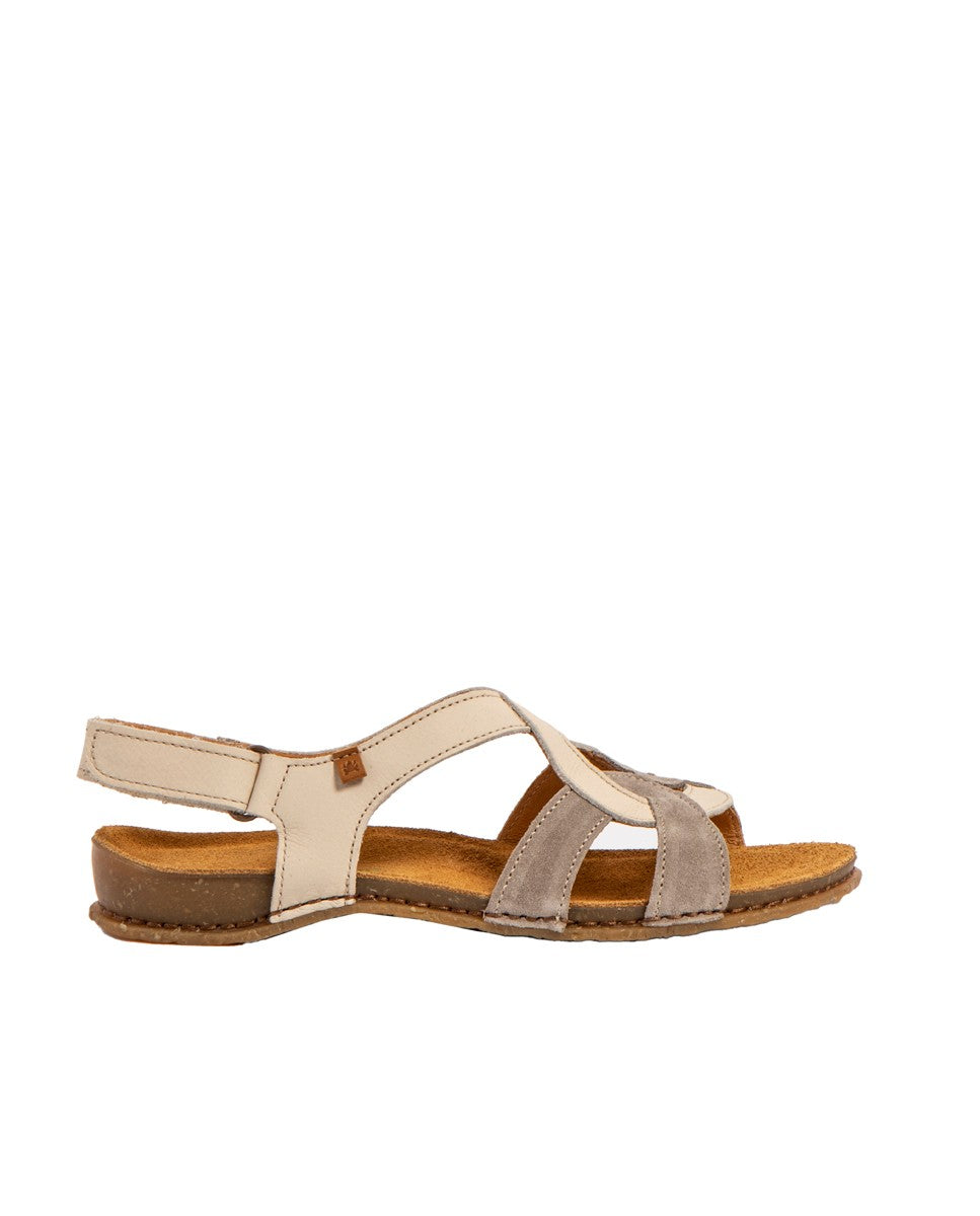 gid://shopify/Product/15700087800140_1