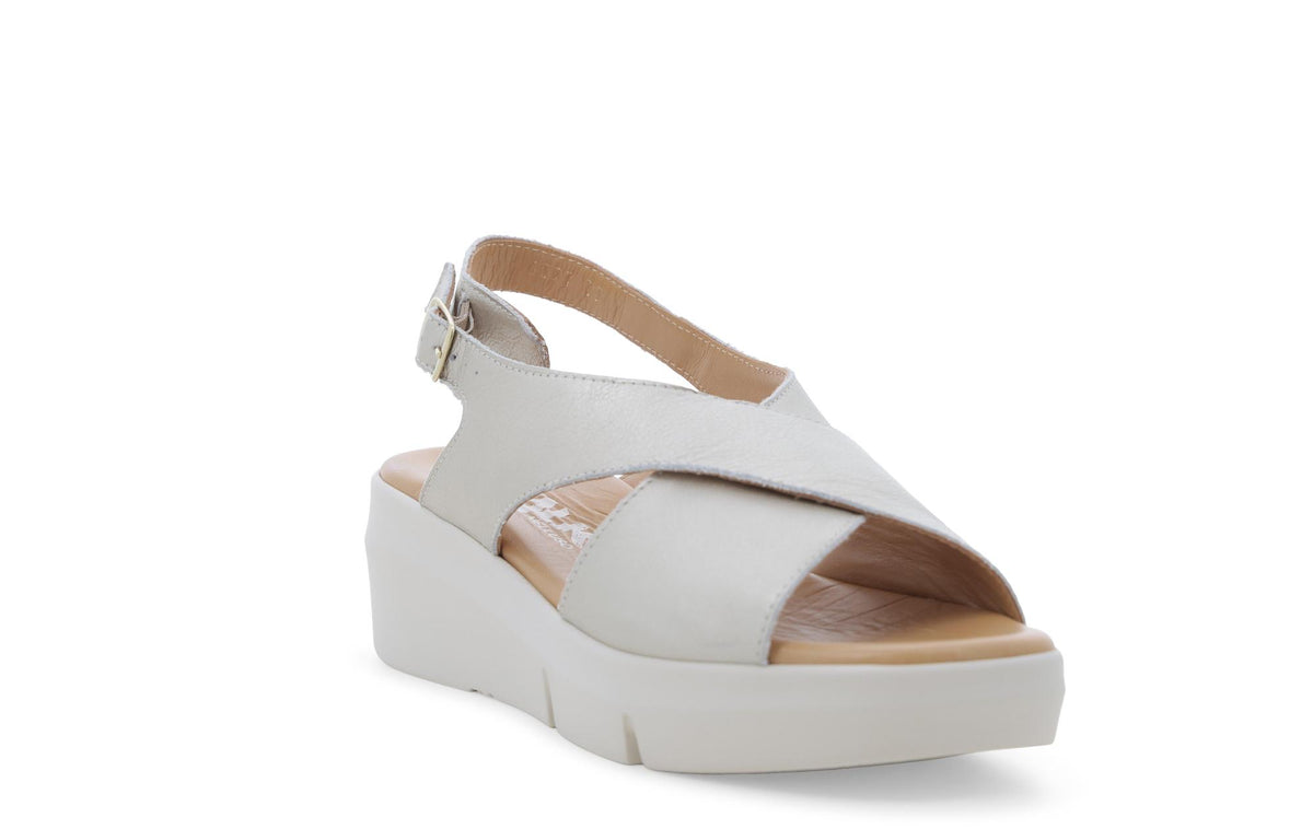 gid://shopify/Product/15761167974732_2