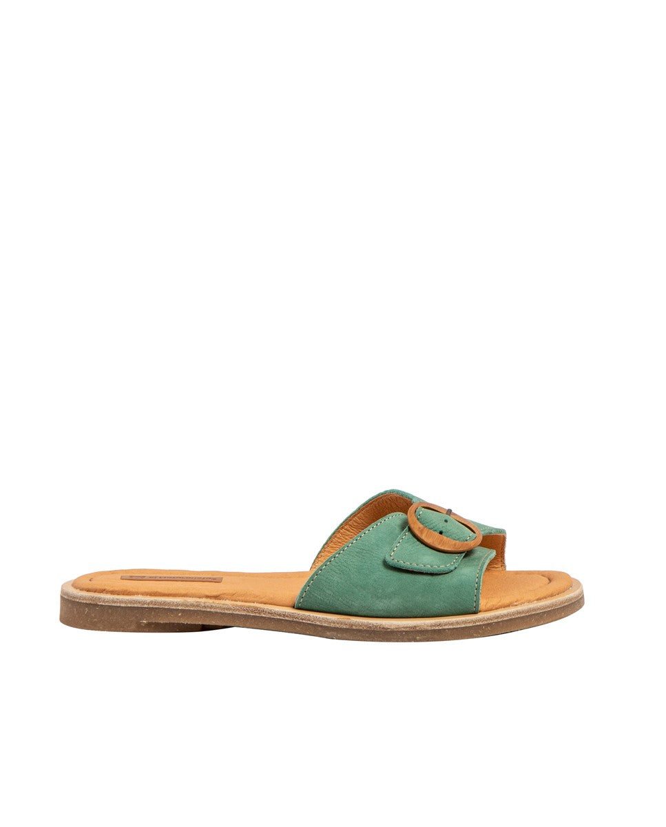 gid://shopify/Product/15700051493196_1