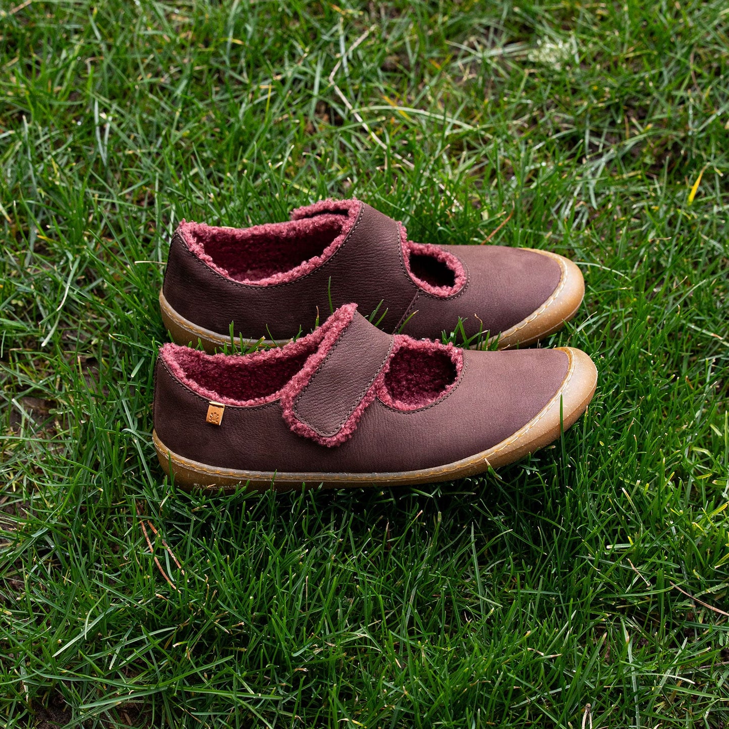gid://shopify/Product/15700857782604_7