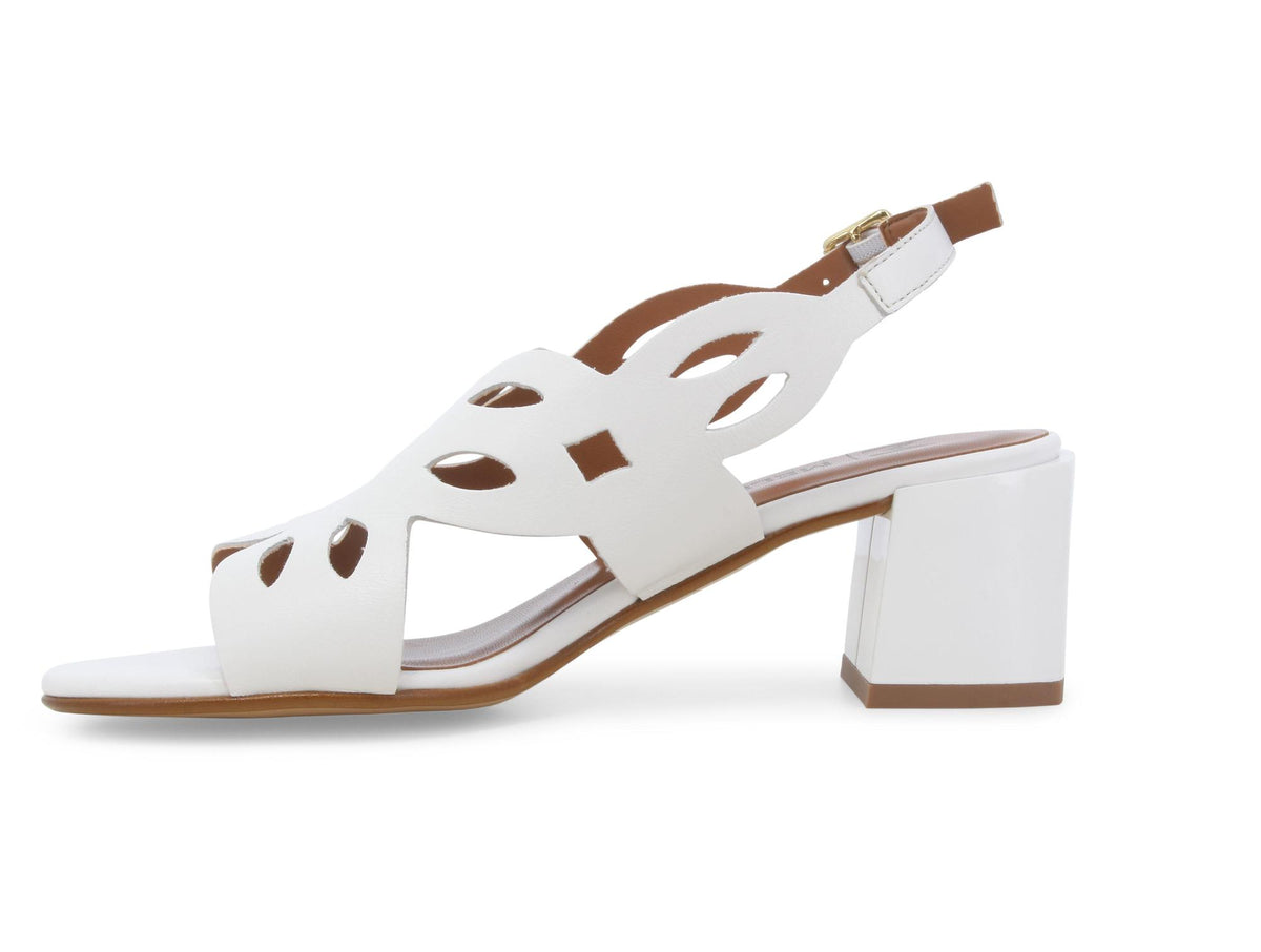 gid://shopify/Product/15761129996620_4