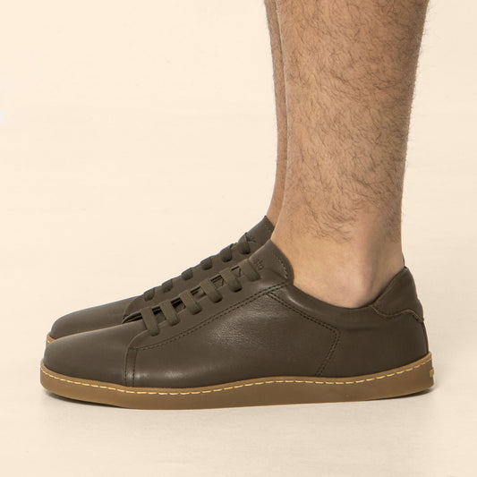 gid://shopify/Product/15791911600460_1