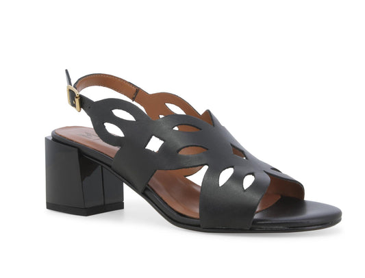 gid://shopify/Product/15761122427212_2
