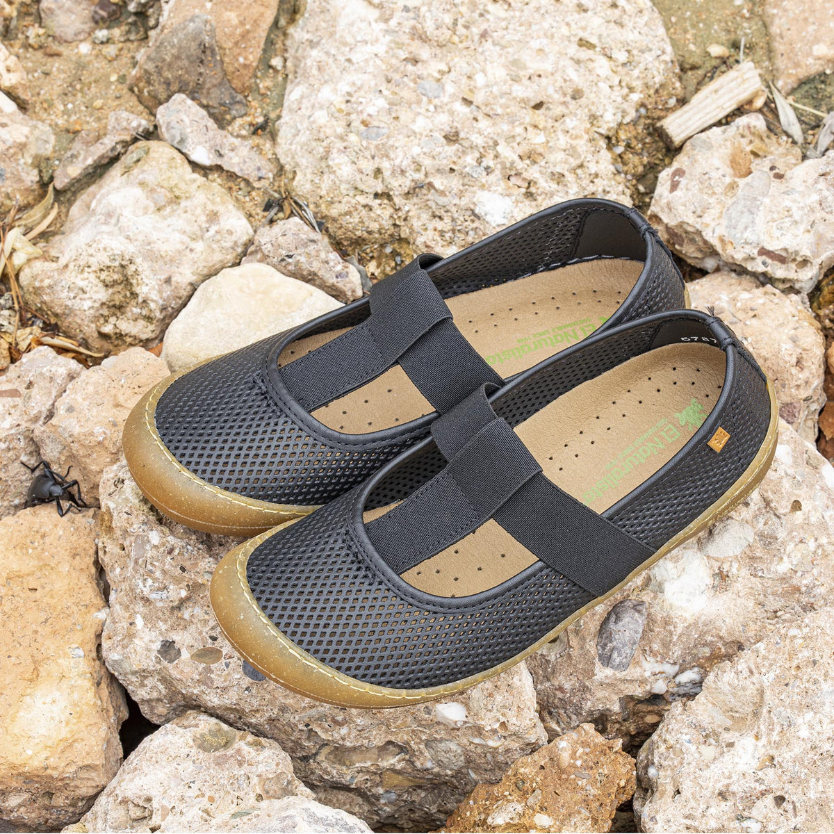 gid://shopify/Product/16124750037324_7
